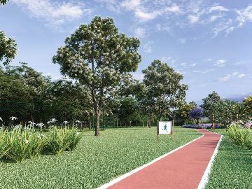 PISTA DE COOPER