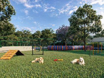 PET PLACE