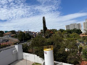 Sol da manh�