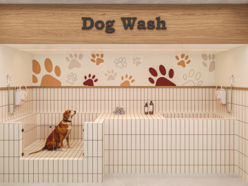 Dog wash
